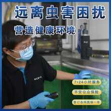 北京杀虫公司专业上门灭蟑螂捕鼠除老鼠蚂蚁跳蚤白蚁家庭灭虫灭鼠 （质保一年）宏宇洁 灭飞虫(次)