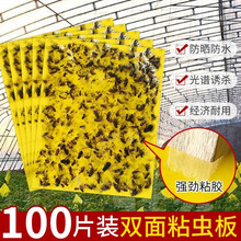 【强力】多规格黄板双面粘虫板诱虫板多尺寸沾虫纸贴蓝色沾室内花草小飞虫蓟马灭果蝇粘板菜地果园田地大棚 15*10cm（100张）