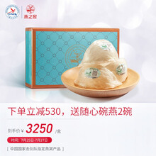 燕之屋3星干燕窝 印尼进口原料溯源干燕盏 尼罗河100g礼盒装