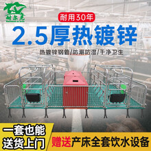 耐尔尼 母猪产床复合产保一体 猪产床保育床  2.5热镀锌双体产床 母猪定位栏 猪用分娩床 （2.5厚）豪华版产保一体2.2*3.6