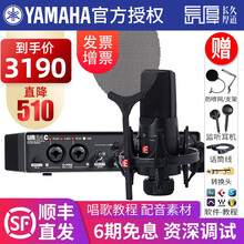 YAMAHA雅马哈声卡UR24C手机电脑主播直播K歌套装 专业录音配音编曲设备乐器录音USB音频接口 UR24C+SE x1a话筒套装