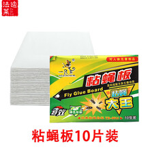 苍蝇贴条粘蝇纸强力粘灭蝇彩带条挂纸沾蝇子蚊虫神器家用一扫光 粘蝇板 10条