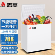 志高（CHIGO）【送货上门】冰柜家用冷柜 冷藏冷冻转换冰柜卧式小冰柜 保存母乳小冰箱 160升【省电款 一级能效】