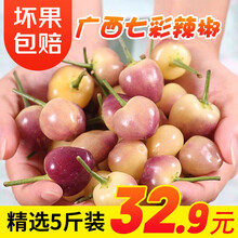 七彩椒 广西特产五彩椒 灯笼小辣椒 5斤小果