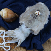 叁时鲜 新鲜大墨鱼1.5斤-2斤/条（规格可选）东山岛深海捕捞大乌贼烧烤火锅食材海鲜水产 1.5-1.7斤/只