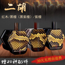 红木二胡乐器紫檀表演奏考级成人民族剧团苏州厂家直销琴 木盘龙头二胡-联系客服选皮