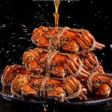 【全母大蟹】花雕熟即食6只蟹蟹香蟹熟食蟹欧因 香辣大闸蟹12只(2.6-3.0两