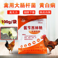 鸡药大全鸡拉白屎药鸡病鸡用鸭鹅药重症大肠杆菌兽用鸭专用药 1袋