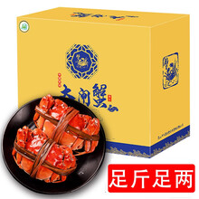 【活蟹】蟹灵阁六月黄大闸蟹礼盒 鲜活螃蟹河蟹公母蟹河鲜阳澄湖镇 2.0-2.5两 10只