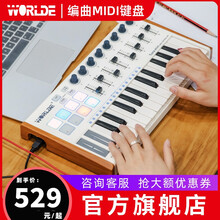worlde 25键便携MIDI键盘打击垫音乐编曲键盘电音迷笛控制器力度感应键盘 panda mini
