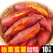 蜜薯板栗红薯新鲜10斤中果农家红心地瓜沙地小番薯香糖心烟山芋 大果 5斤