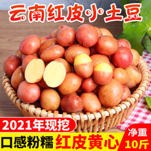 大地果缘【产地直发】 云南红皮黄心农家自种小土豆10斤高山马铃薯新鲜蔬菜洋芋批发 5000g
