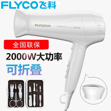 飞科（FLYCO）电吹风家用大功率吹风筒旅行便携式吹风机冷热风理发店发廊可折叠FH6232 标配+美甲七件套