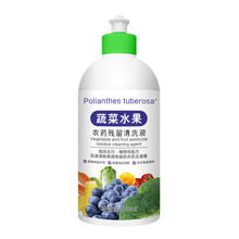 果蔬清洗剂 果蔬专用水果蔬菜清洁剂洗水果蔬菜专用去农残 去除农药果蔬净两瓶(1000g)