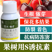 植符 s诱抗素脱落酸 果树专用芸苔素提高授粉座果膨大增甜亮果 200ml