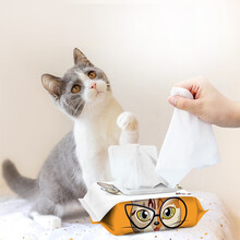 来旺兄弟 宠物湿巾 狗猫泪痕湿巾狗狗湿巾猫咪去泪痕湿巾宠物眼部清洁湿巾湿纸巾 猫咪专用湿巾80抽