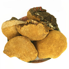 杞里香 云南桑树桑黄500g一斤装可免费切片孔菌黄灵芝干货