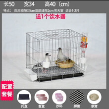 加粗鸽子笼子鸽子用品用具鸽子笼大号鸡笼家用鸽子养殖笼子 50*34*40+粪盘食具脚垫2草窝