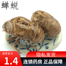 瑞龙国药  中药-蝉蜕  1g