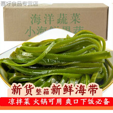 5斤箱装盐渍海带丝新鲜嫩海带丝1500g海带丝昆布丝火锅食材 长薄海带丝5斤
