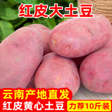 2021新鲜云南高原红皮黄心大土豆5/10斤农产品蔬菜大号洋芋马铃薯 带箱5斤