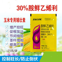 玉米控旺矮壮素抗倒伏控旺促生根植物生长调节剂 30%胺鲜胺乙烯利 10g