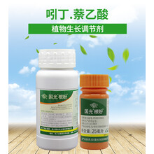 根盼 生根剂 吲哚丁酸萘乙酸 花卉树木移栽扦插育苗换盆 25ml