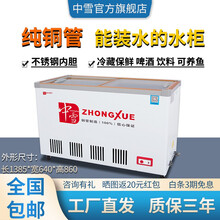 中雪水柜商用卧式玻璃门冰柜超市冷柜保鲜柜冰箱啤酒双门饮料冷藏展示柜不锈钢内胆可装水推拉门纯铜管小卖铺 338升（铜管）