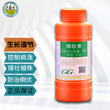 国光植物矮壮素果树控梢多肉花木花卉矮化控旺剂抗倒伏生长调节剂 10ml