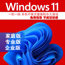 正版WIN10系统/windows10系统正版u盘/win10专业版/家庭版/企业版/激活码/密钥 win11家庭版 U盘 发京东 含税可开发票