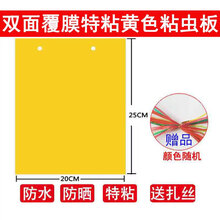 溪沫 双面加厚特粘诱虫蓝板粘虫板黄板果园茶园大棚家用等灭多种小飞虫 20张双面覆膜加厚特粘黄色20x25