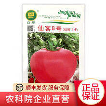 北京农科院京研番茄种子水果番茄西红柿原味西红柿普罗旺斯樱桃番茄小西红柿番茄树白番茄黑番茄非转基因种籽 仙客8号 1000粒