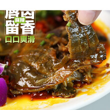 宜慧熟食甲鱼开袋即食 科学工艺低温卤制 真空营养风味不流失 五香甲鱼251克-300克(不辣)