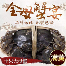 【活蟹】苏州蟹鑫鑫大闸蟹 现货特大螃蟹 公全母蟹4.4-4.8两活蟹 海鲜水产品礼盒10只装 全母（4.4-4.8）两10只装