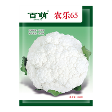 百萌（BAI MENG）农乐65天台湾青梗松花菜 松花菜籽易种春秋冬蔬菜菜籽花菜种籽有机花菜种子 农乐65杂交花菜种子约200粒 厂商封装