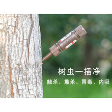 树虫一插净果树流胶病大树钻心虫蛀虫杀虫剂蚂蚁药天牛幼虫一针灵