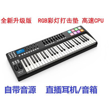 worlde-PANDA25键编曲键盘midi键盘音乐键盘打击垫电音键盘 PANDA49-A带音源 49键、黑色升级版(RG