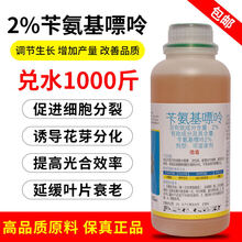 2%苄氨基嘌呤细胞分裂素6ba促花保果发芽多肉爆芽果树膨大剂 1000ml