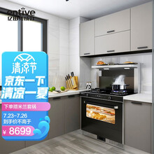 亿田（entive）集成灶蒸箱 18立方大风力 集成灶一体灶家用 D2Z 钢化玻璃台面 天然气