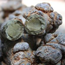 康中尊 三七文山三七纯37无剪口春田七20头30头春三七可代磨三七粉 16头16个无剪口【500克】