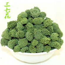 康中尊 精选文山特产天然头茬四年生三七花茶田七花 精选文山三七花250克