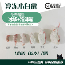 冷冻小白鼠/蛇/乌龟/蜥蜴/猫饲料【乳鼠红皮粉皮白霜】 乳鼠(1-3g)40只顺丰