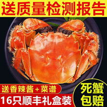 【活蟹】蟹品煌大闸蟹现货 超大 鲜活特大螃蟹 六月黄螃蟹全公母蟹 生鲜活蟹水产 礼盒装 大闸蟹3.7-4.0两10只装