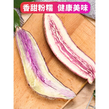 梓乐果 紫薯新鲜冰淇淋红薯一点红番薯现挖农家自种花心板栗5斤地瓜 2斤 小果