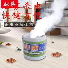 杀虫烟雾剂弹除蟑螂药家用杀苍蝇蚊子烟熏神器灭蟑螂小强克星 3枚装/散装