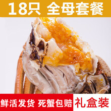 【活鲜】全母大闸蟹鲜活螃蟹活体特大现货礼盒装 塞红康尔 (全母2.5-2.0两)18只