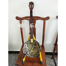杉贝 SHANBEI 雄声新品指板秦琴三弦蟒蛇皮园腰形秦琴乐器三弦琴弹拨乐器抖音同款 金属琴箱三弦