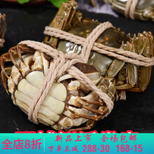 【活鲜】鲜活六月黄大闸蟹现货冷链3.6-0.9两苏州产地直发活蟹 莫尔加德 【活动款】买8+12 共20只
