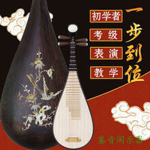 鸡翅木琵琶乐器 考级练习初学琴 教学  儿童学生专业 鸡翅木凤尾