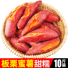 新鲜蜜薯大果农家红心地瓜沙地小番薯香糖心烟板栗红薯10斤山芋 10斤 大果